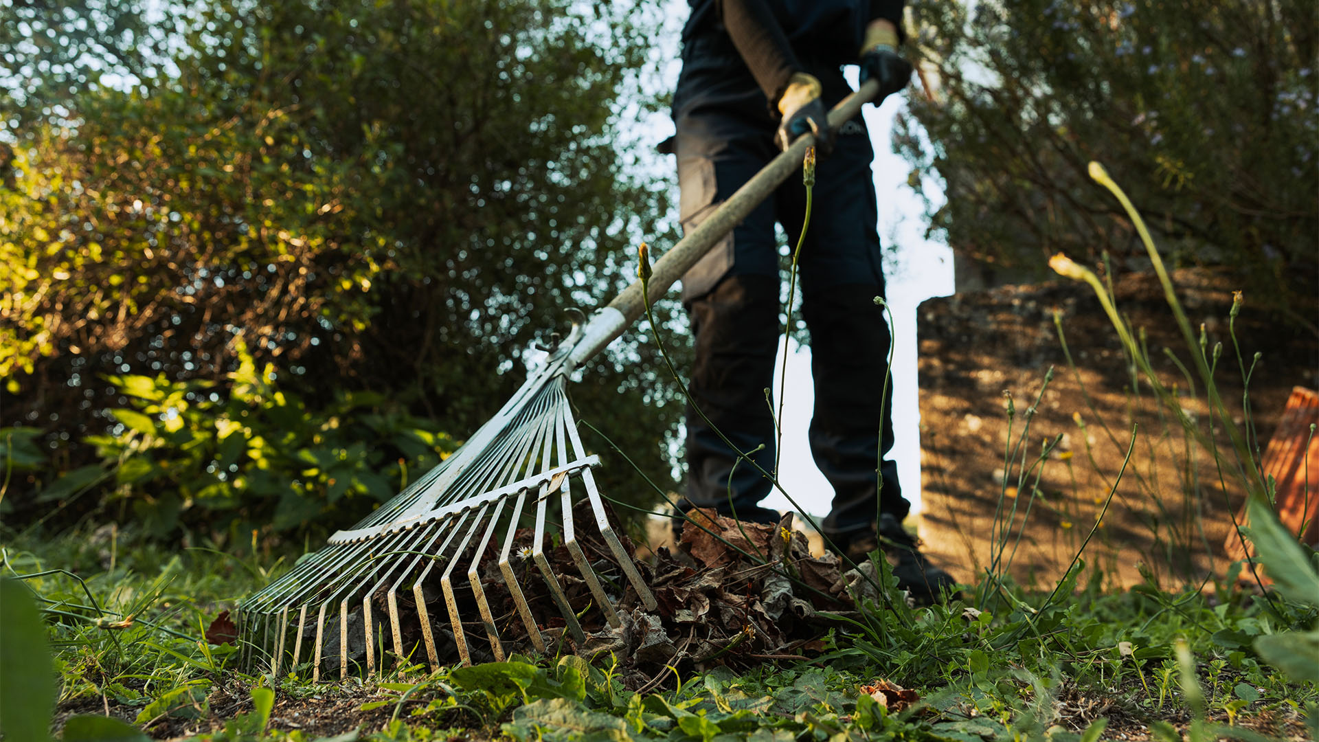 Maintenance Gardening