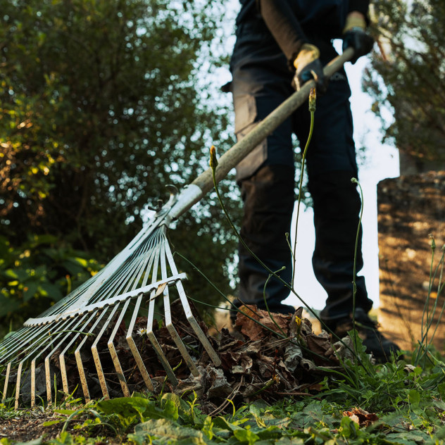 Maintenance Gardening