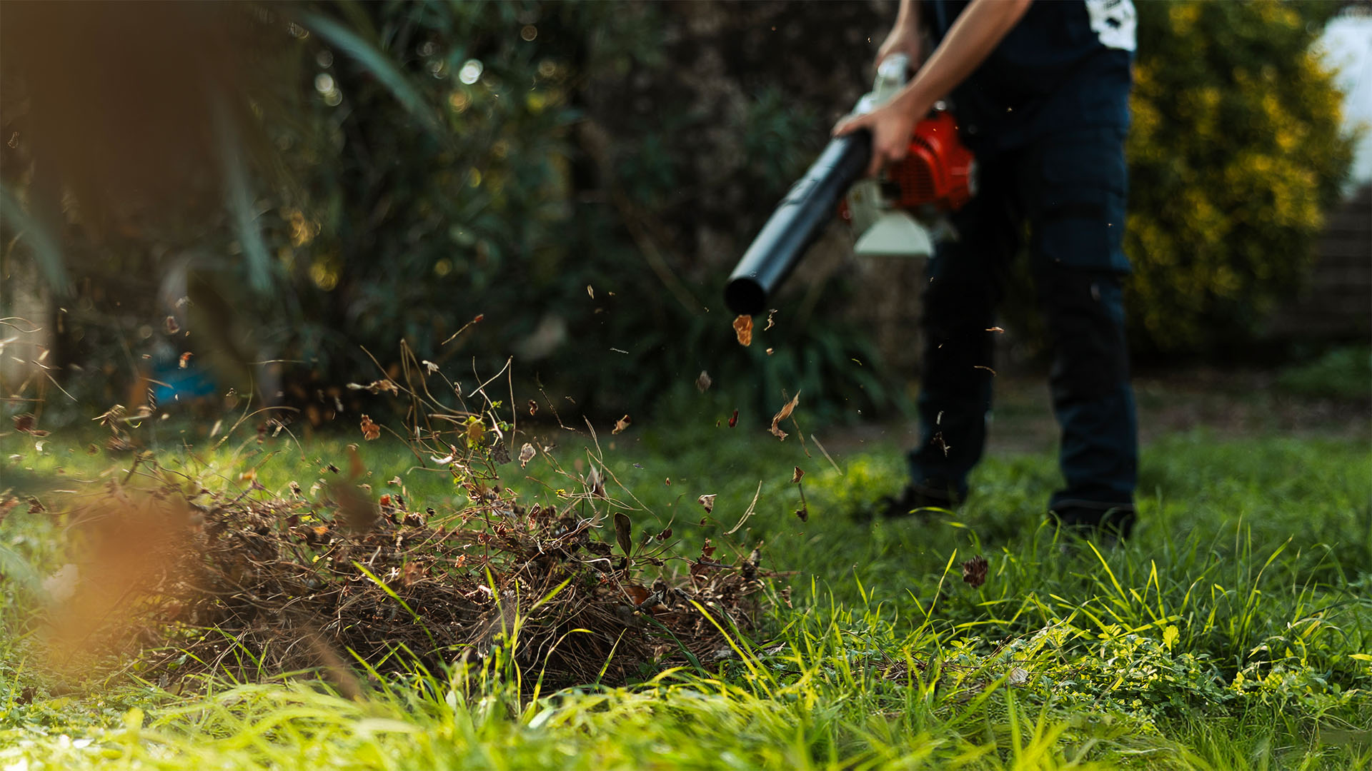 Maintenance Gardening