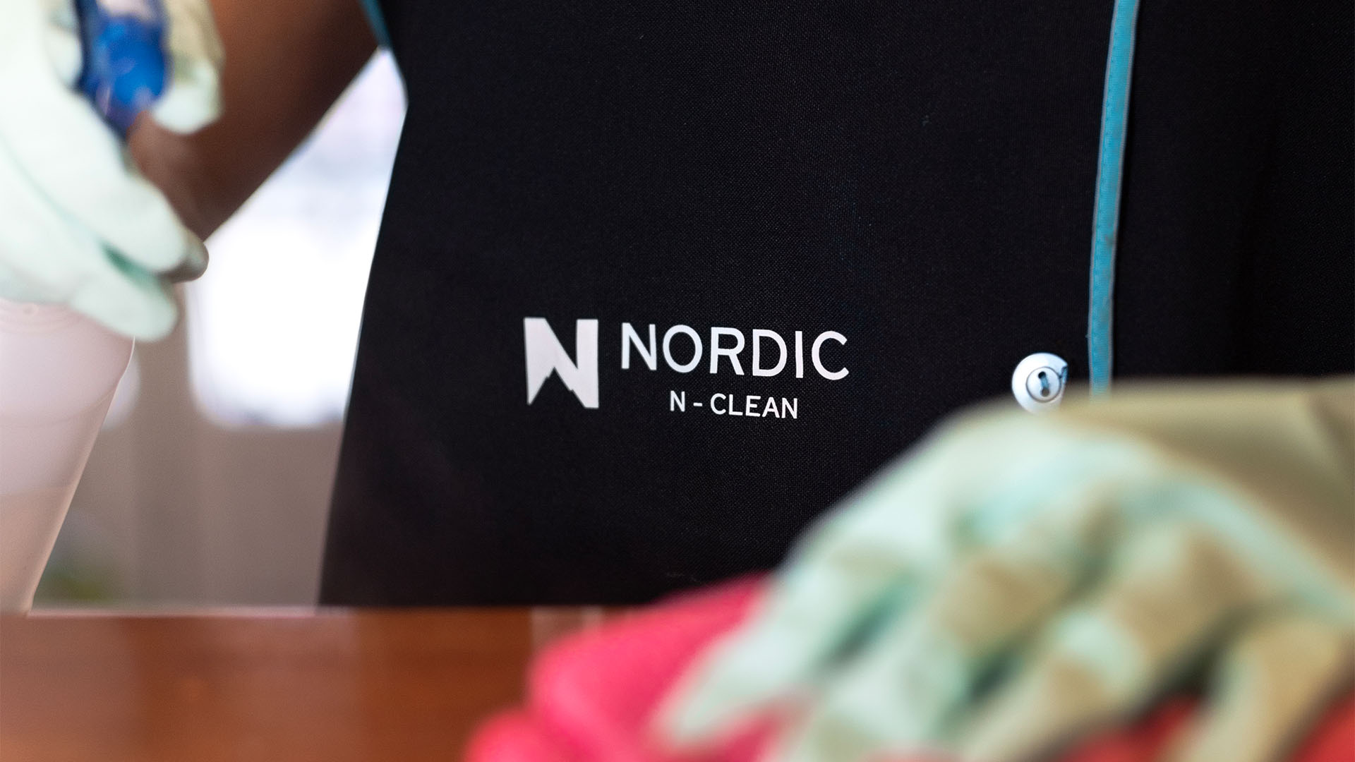 Domestic Cleaning Services