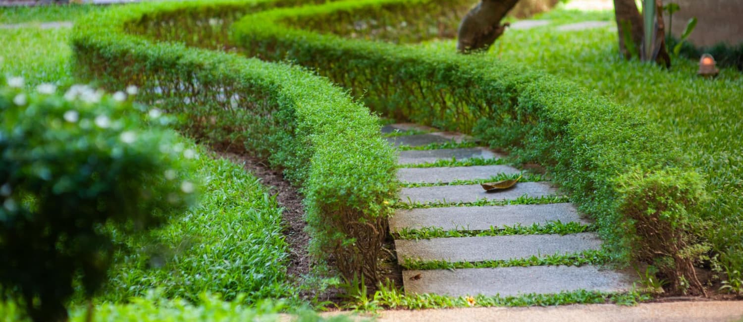 garden-path-1500x650.jpg